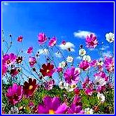 Как быстро поднять настроение себе