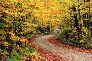 Приметы на октябрь: народный календарь