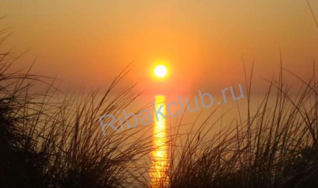 Как влияет погода на клёв рыбы