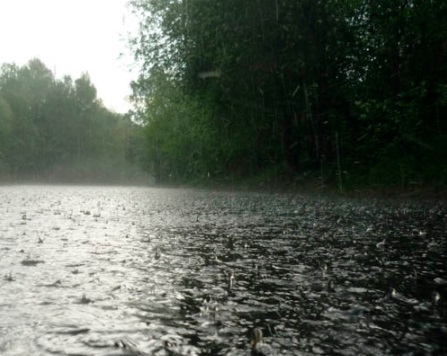 дождь на рыбалке