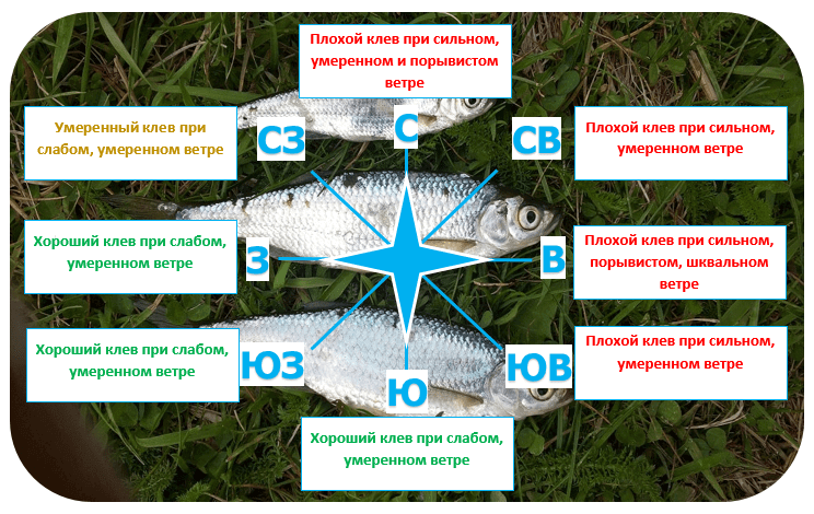 Погода для ловли леща. 3 фактора | активный клев леща