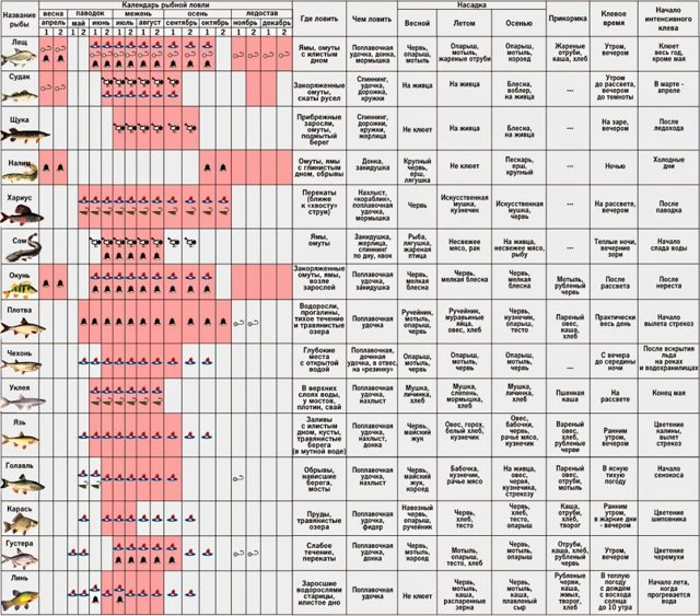 Лучшая погода для рыбалки, факторы влияющие на клёв