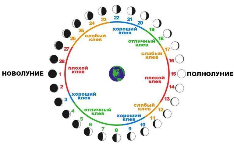 Когда клюет карась, при какой погоде и давлении лучше ловить ночью или днем