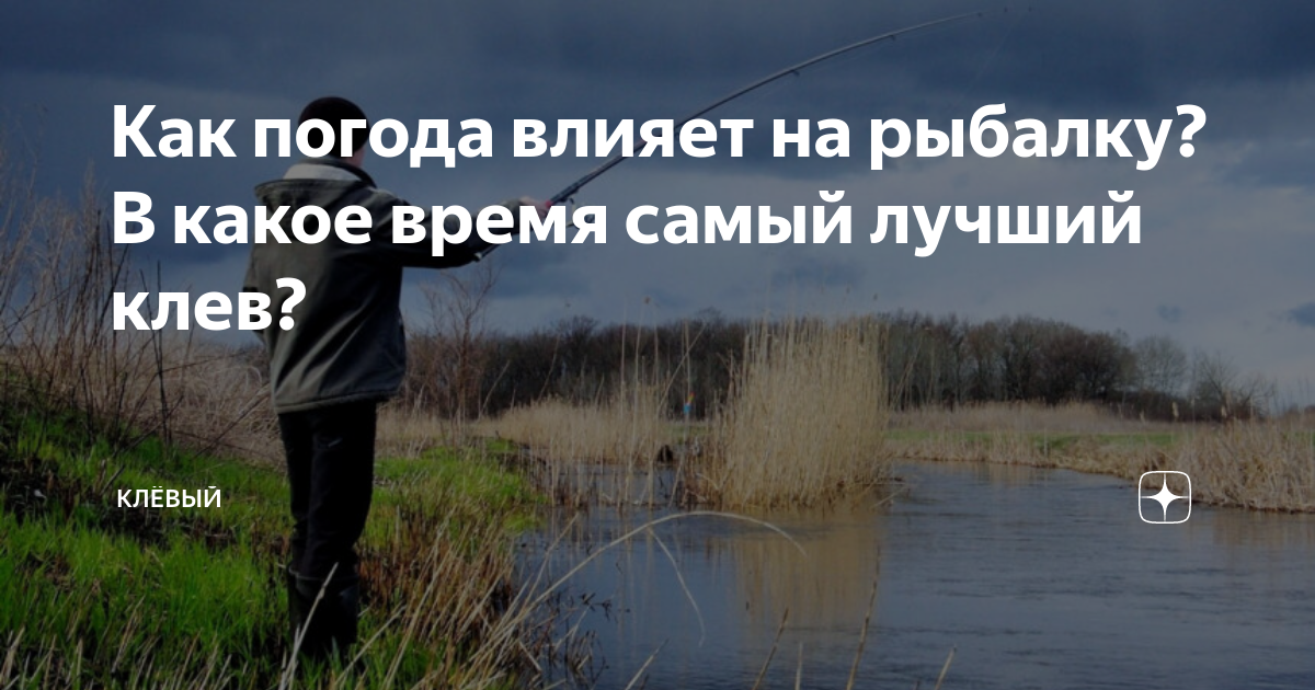 Клёв хариуса: зависимость от сезона и погоды