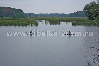 Лучшая погода для рыбалки, факторы влияющие на клёв