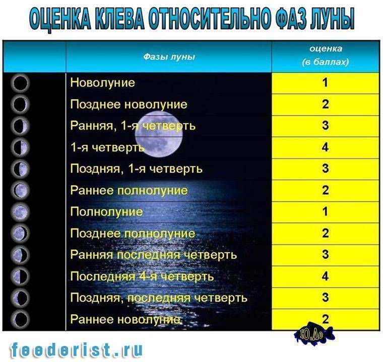 В какую погоду лучше ловить рыбу - влияние давления, ветра и сезона на клёв