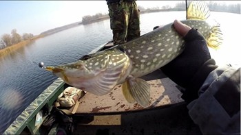 Ловля щуки в апреле