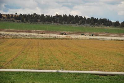 приметы мая на каждый день