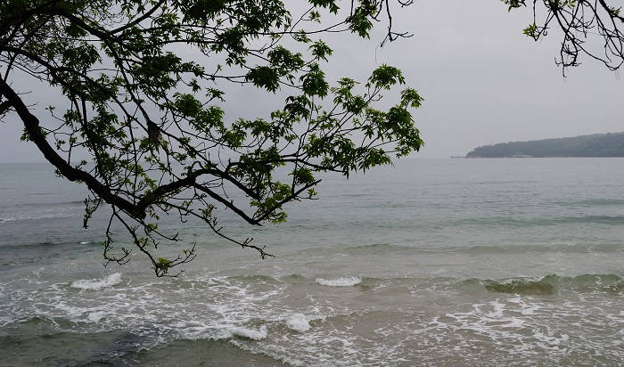 Какие приметы о погоде работают