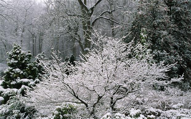 сретение народные приметы