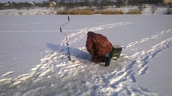 ловля форели зимой