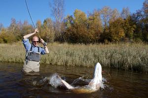 Лучшее время для рыбалки