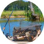 Погода и сезон когда рыба клюет лучше всего?