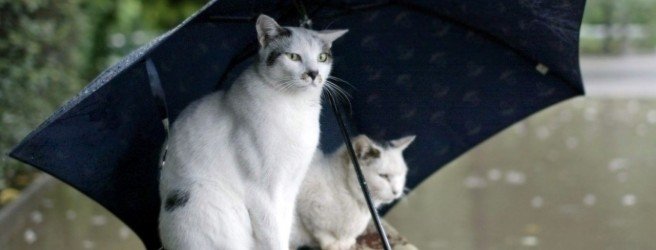 Приметы о погоде на основе наблюдений