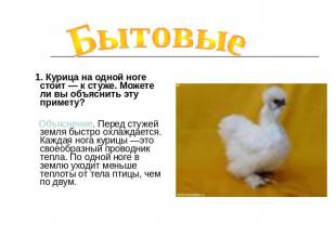 Бытовые 1. Курица на одной ноге стоит — к стуже. Можете ли вы объяснить эту прим