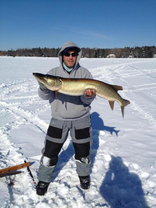 нормальное давление для рыбалки 