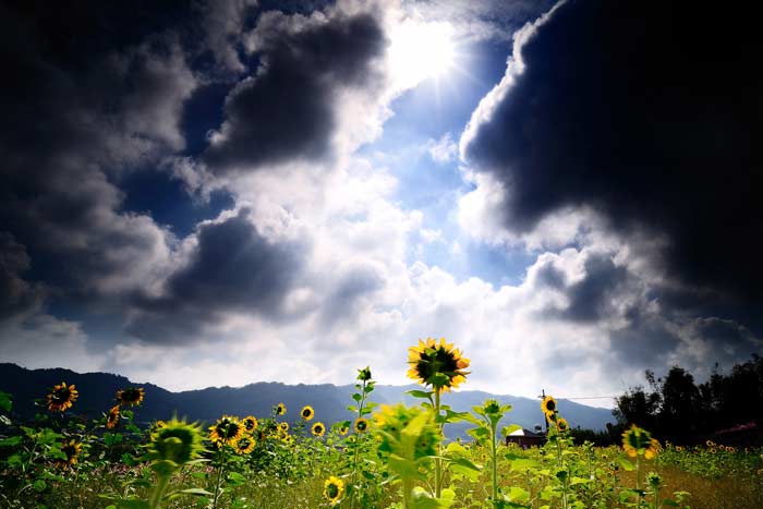 солнце за тучами