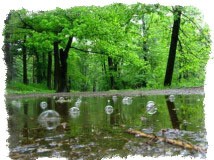 Приметы о дожде