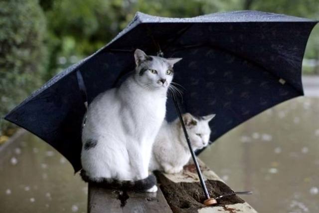 Приметы неживой природы о погоде на основе наблюдений за явлениями