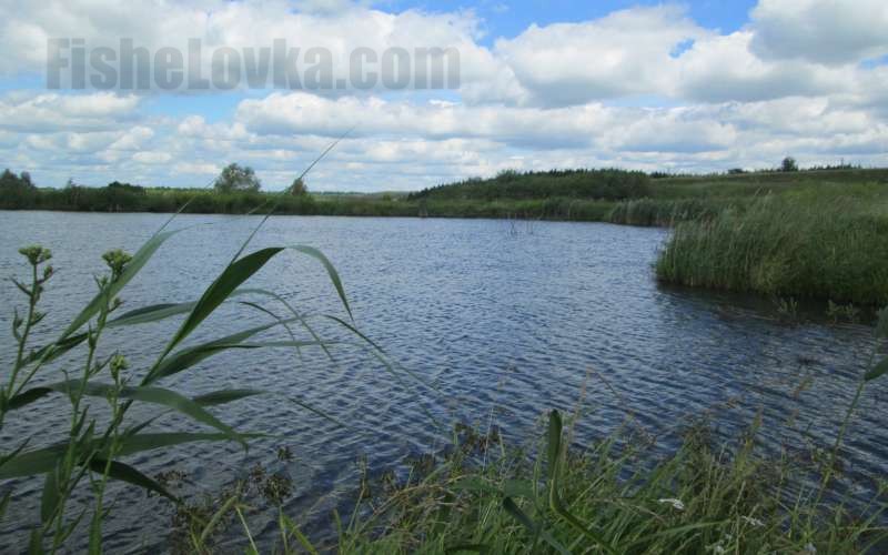 Особенности летней ловли рыбы на фидер