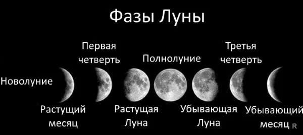 Прогнозы клева щуки 2021