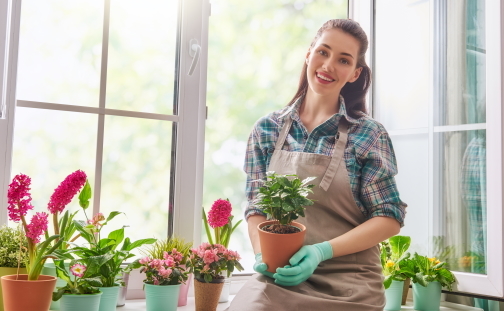 Растения, предсказывающие погоду - Народные приметы