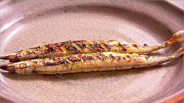 Рыба сарган черноморский: характеристика, поведение, способы ловли