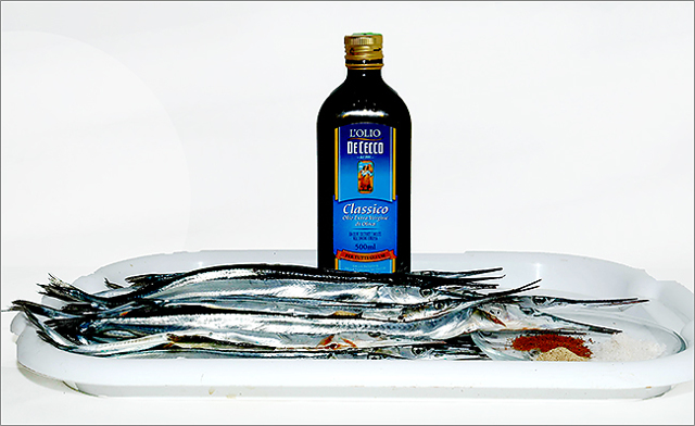 Рыба сарган черноморский: характеристика, поведение, способы ловли