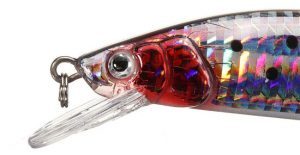 Рыба сарган черноморский: характеристика, поведение, способы ловли