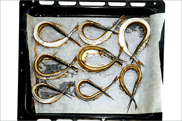 Рыба сарган черноморский: характеристика, поведение, способы ловли