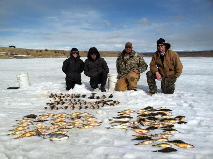 балаково рыбалка