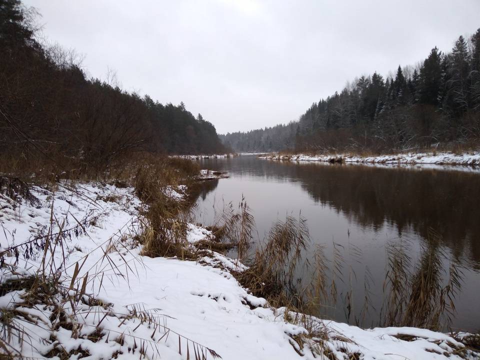 Прогноз клева рыбы в кирове и кировской области. особенности рыбалки.