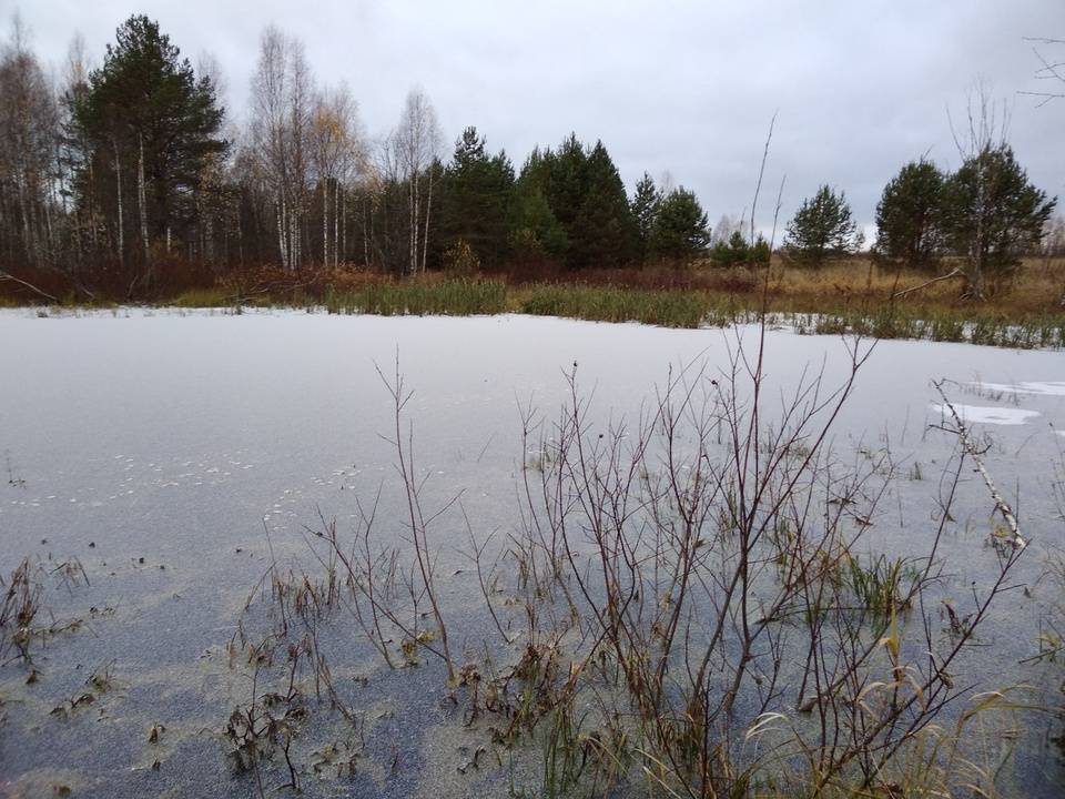 Рыбалка на реках кировской области