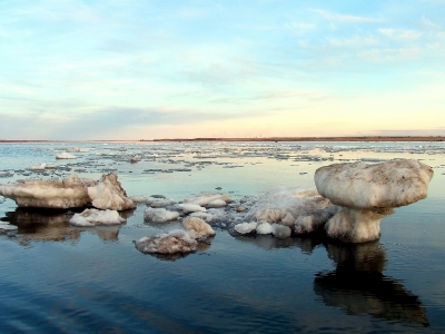 нижняя волга рыбалка