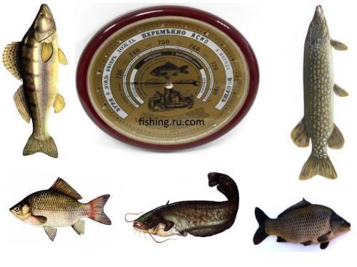 давление и рыбалка