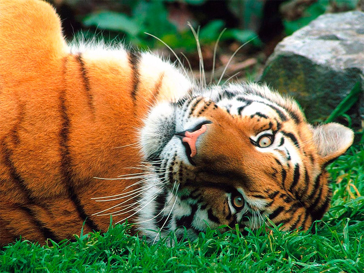 Карта рыболовных мест Хабаровского края