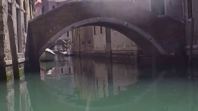 Самолеты и экология: влияние выборосов углекислого газа на климат