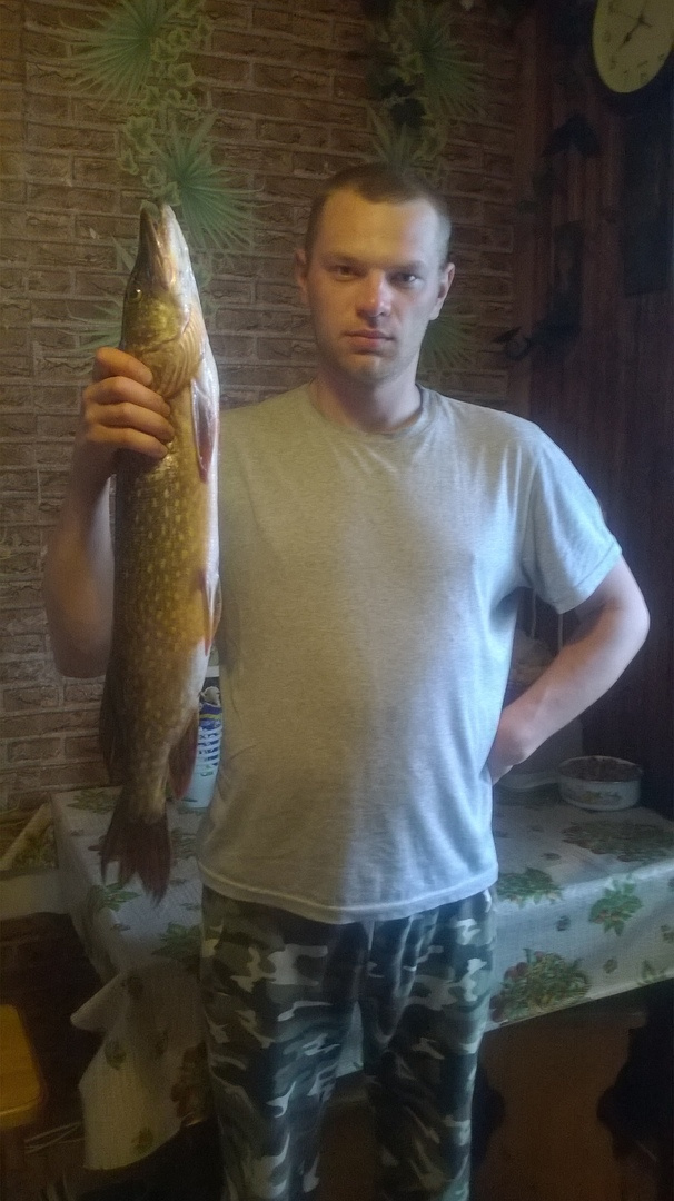 Трофейные выходные: где в Кировской области поймать 7-килограммовую щуку? Еженедельный отчёт с кировских водоёмов