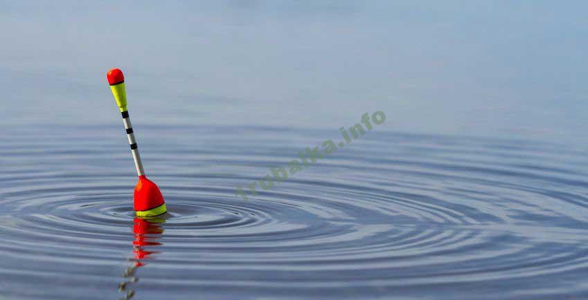 Ловля летом на поплавочную удочку