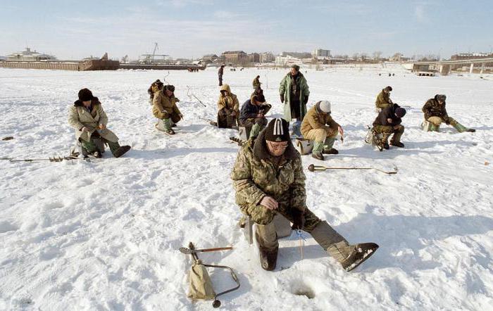 Зимняя рыбалка на средней Волге