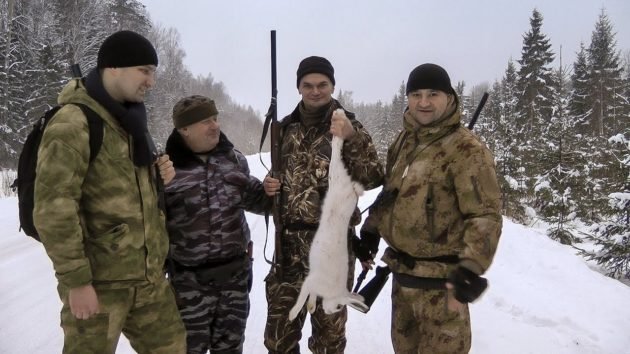 Загонная охота на зайца