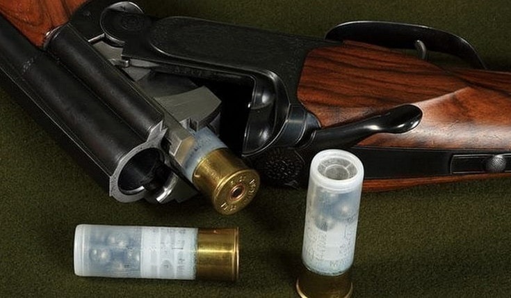 Двустволка на зайца