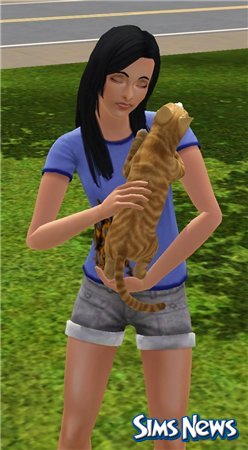 Кошки в The Sims 3 Питомцы