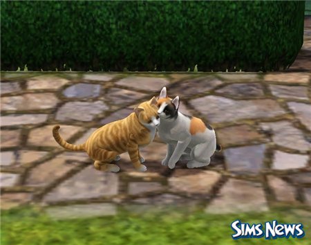 Кошки в The Sims 3 Питомцы