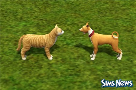 Кошки в The Sims 3 Питомцы