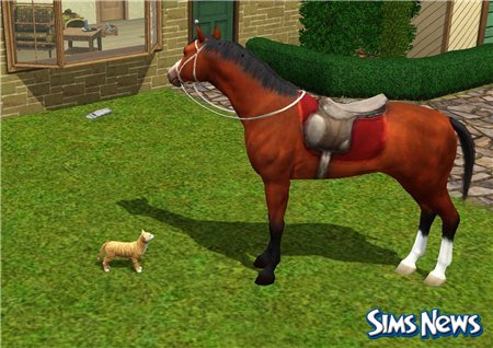 Кошки в The Sims 3 Питомцы
