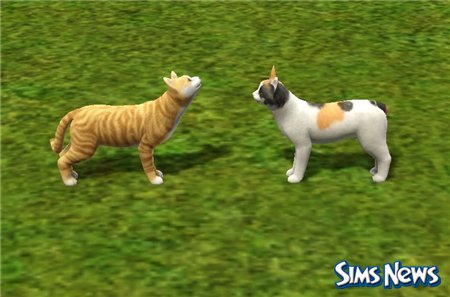 Кошки в The Sims 3 Питомцы