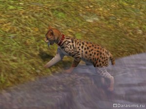 Навык охоты в &laquo;The Sims 3 Питомцы&raquo;