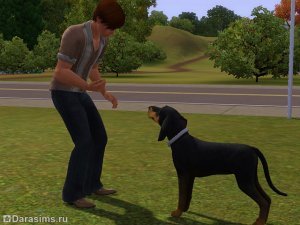 Навык охоты в &laquo;The Sims 3 Питомцы&raquo;