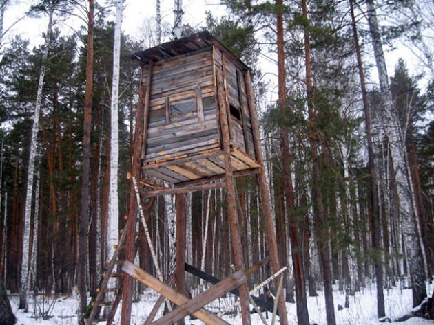 Охота с засидки зимой